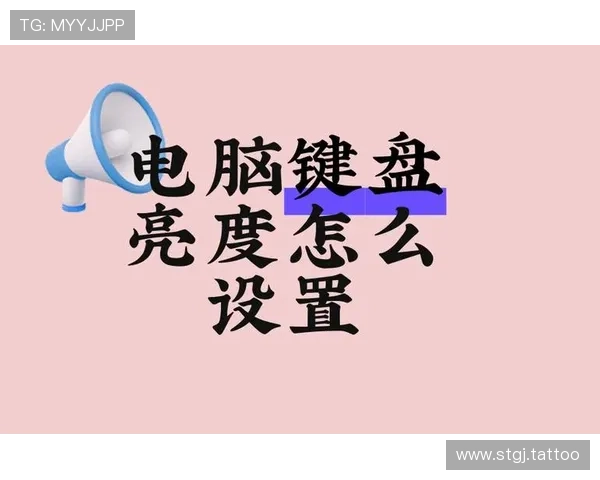 全面指南：如何通过49图库网页入口访问高清图片资源
